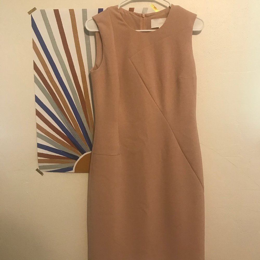 Rose Hugo Boss Demisana Dress Size 4
